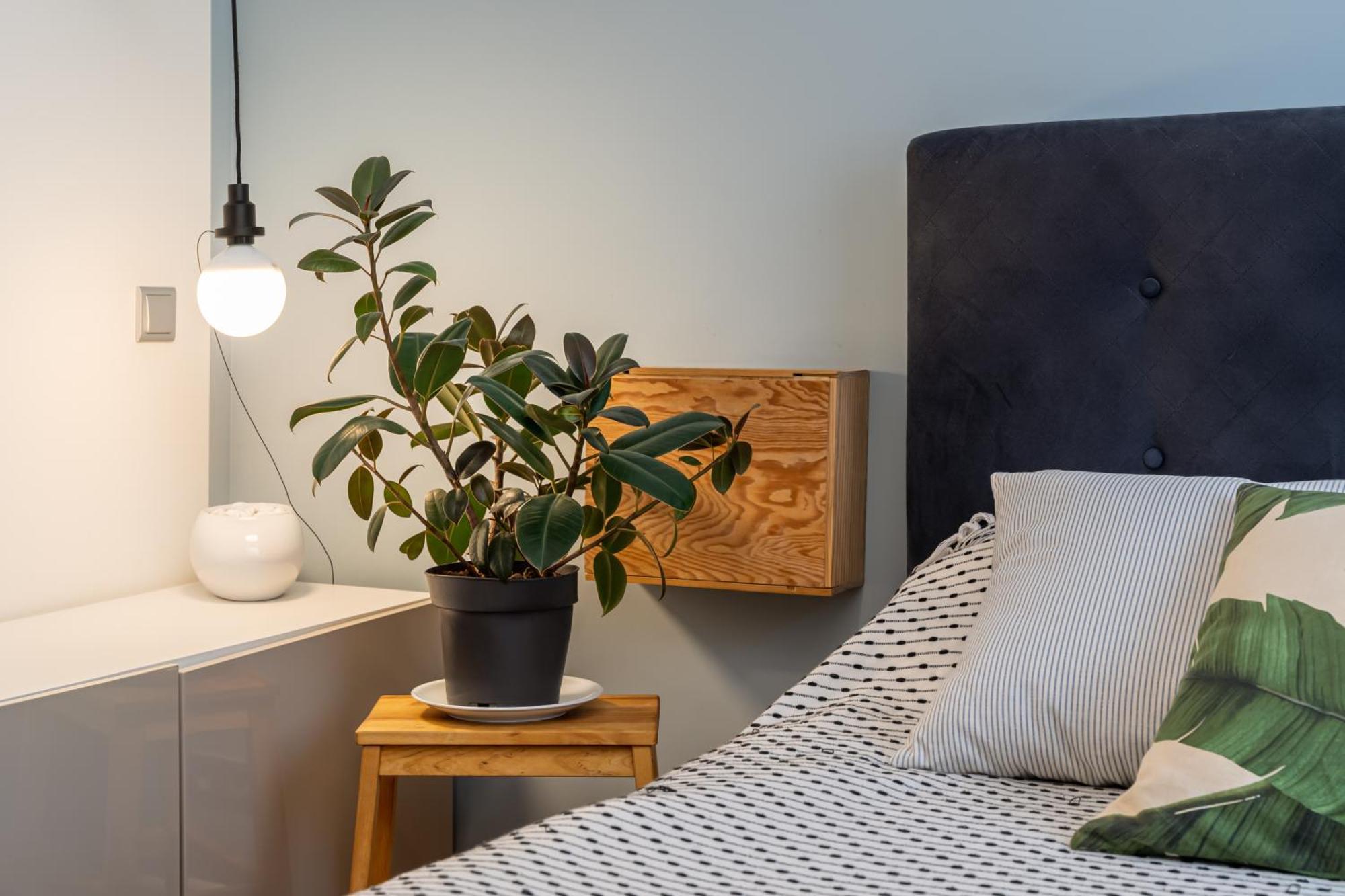 ריגה Baltic Design Apartments With Free Parking And Self Check In מראה חיצוני תמונה